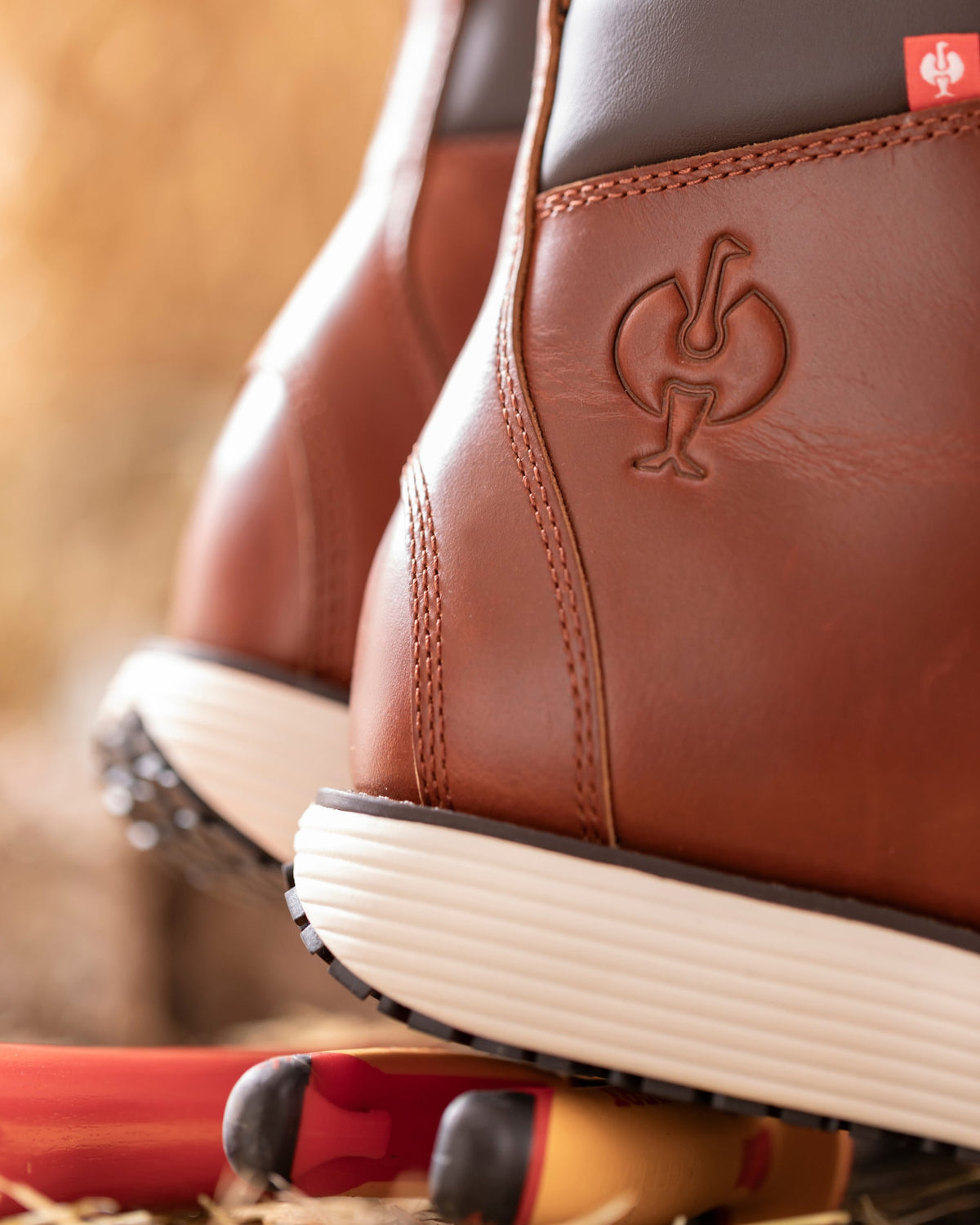Boulder 6 Soft Toe Boot