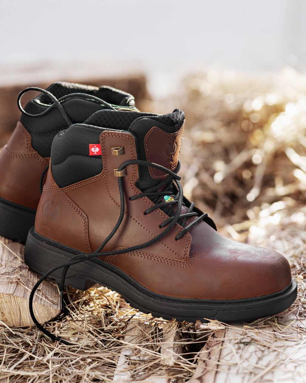 Strauss.3002 6 Comp Toe Work Boot